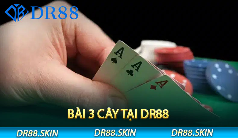 Bài 3 Cây tại DR88