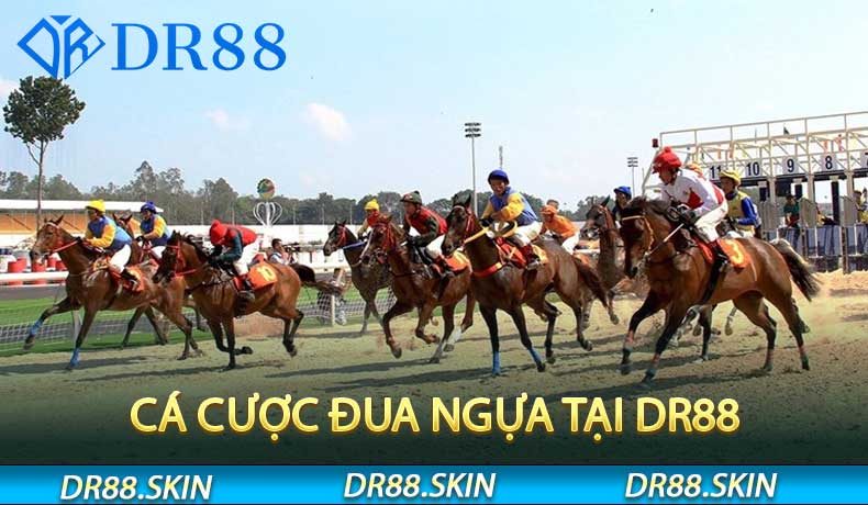 Cá Cược Đua Ngựa