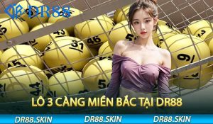 Lô 3 Càng Miền Bắc